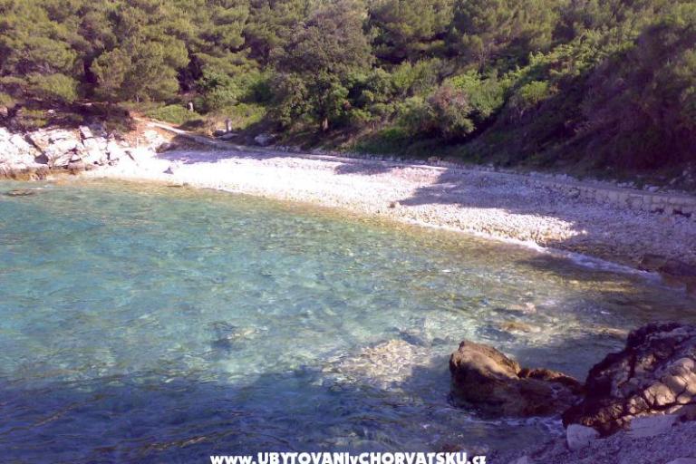 Appartamenti Ankica – foto 7