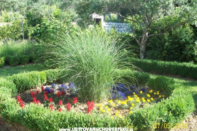 Appartamento Casa Vesna – foto 17