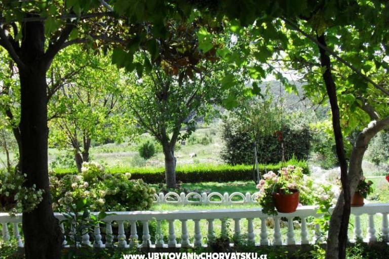 Appartamenti Campeggioor – foto 11