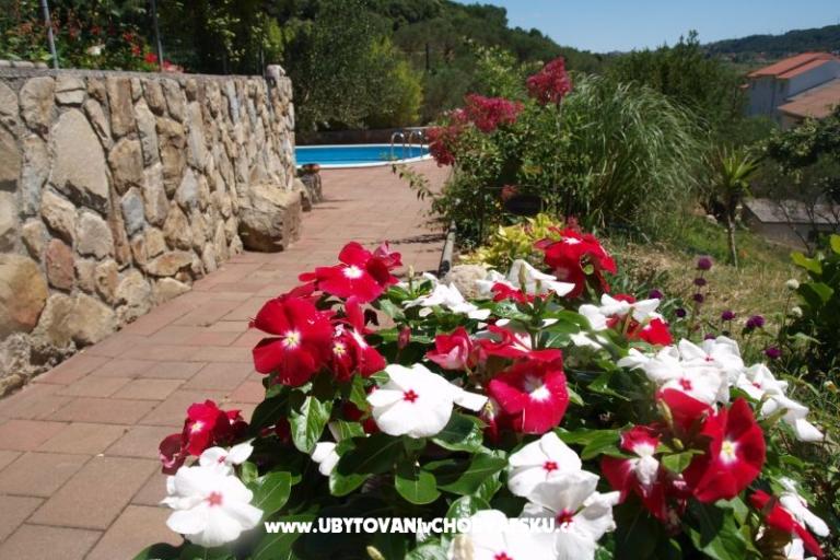 Appartamenti Dumičić – foto 8