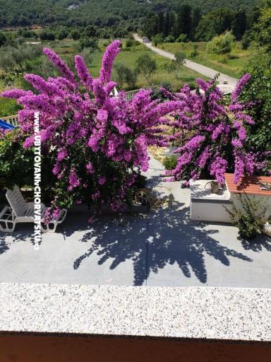 Appartamenti Lupić – foto 16
