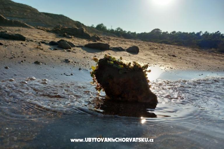 Appartamenti Mira – foto 23