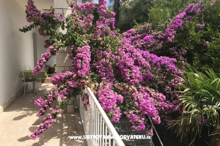 Appartamenti  Španjol – foto 4