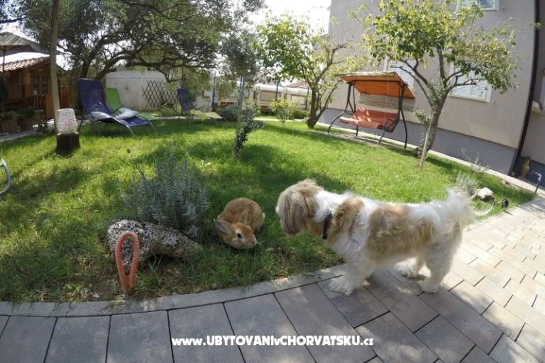 Appartamenti- Villa Ilijic – foto 11