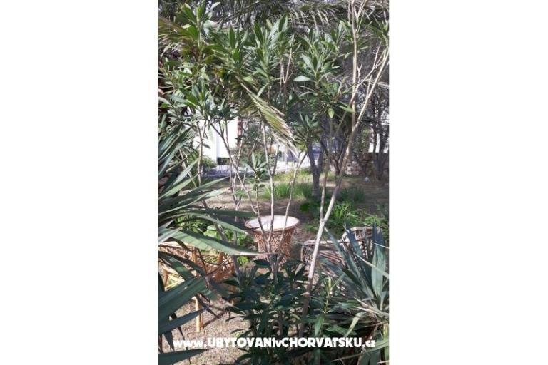 Camere Jadra – foto 6