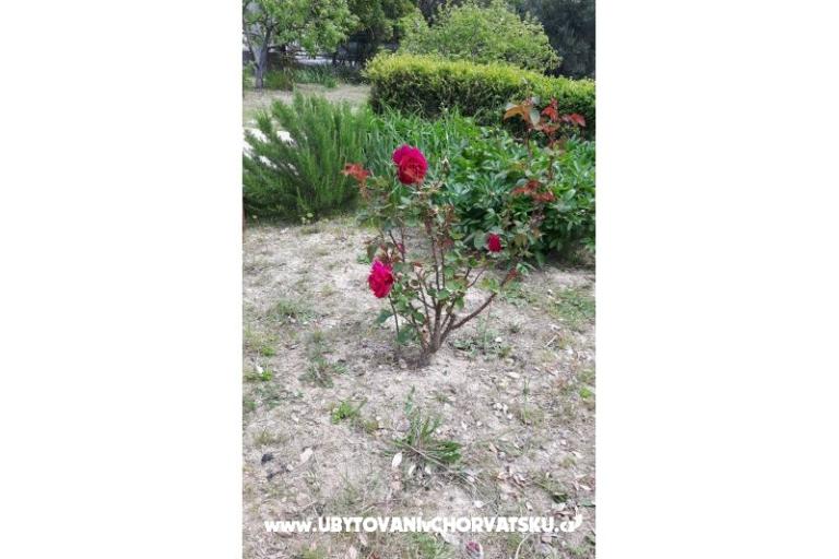 Camere Jadra – foto 7