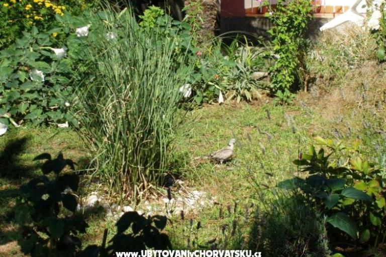 Appartamenti Malvina – foto 10