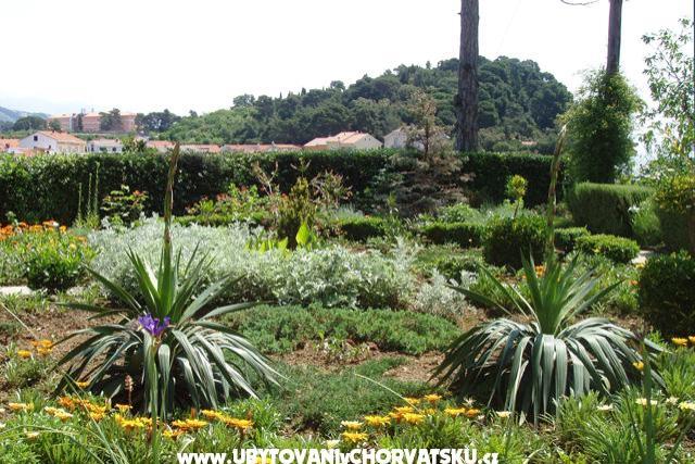 Appartamenti Malvina – foto 9