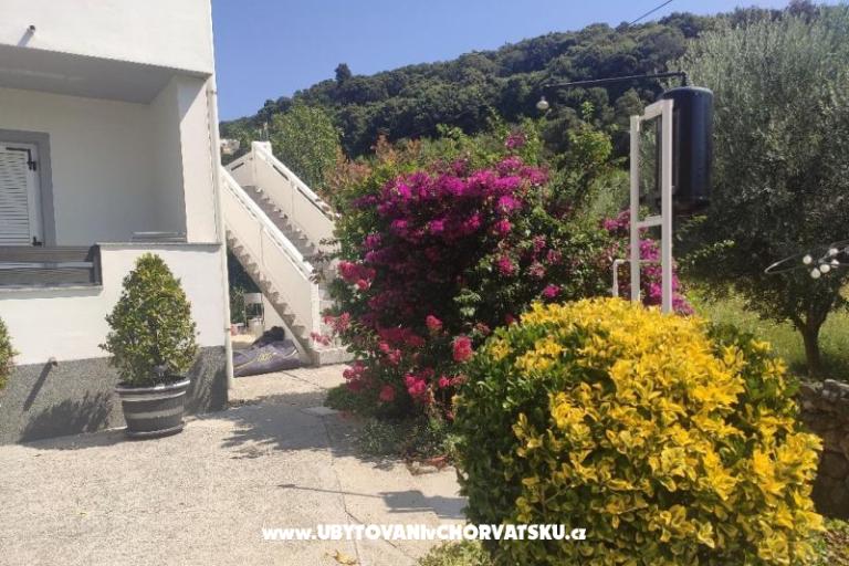 Appartamenti uvala Vardoža – foto 54