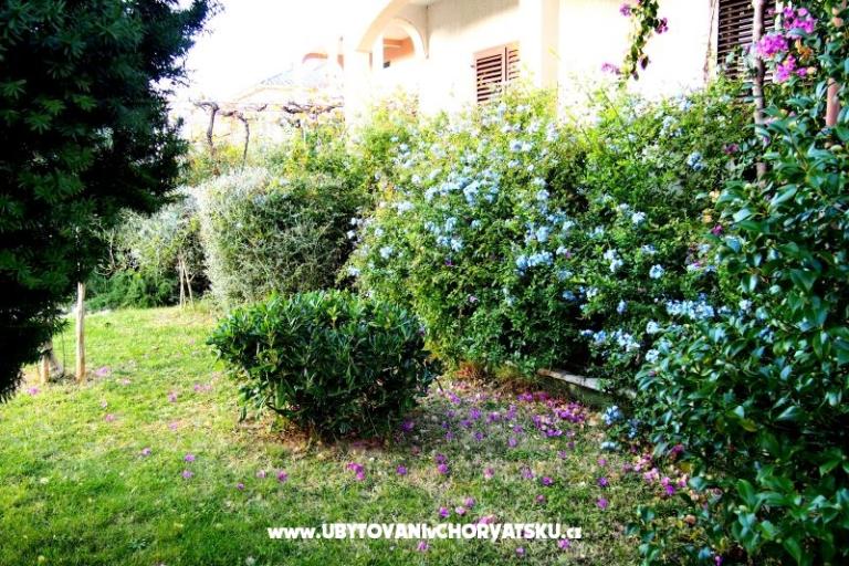 Casa Ivanić – foto 2