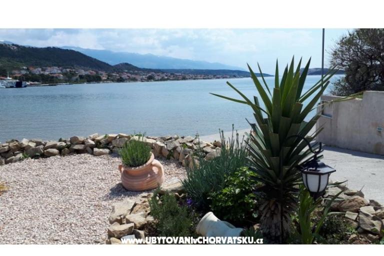 La Gatta Appartamenti – foto 13