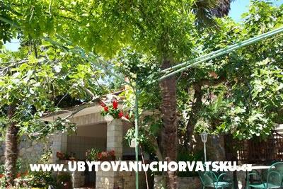 Pansion Vukusic – foto 4