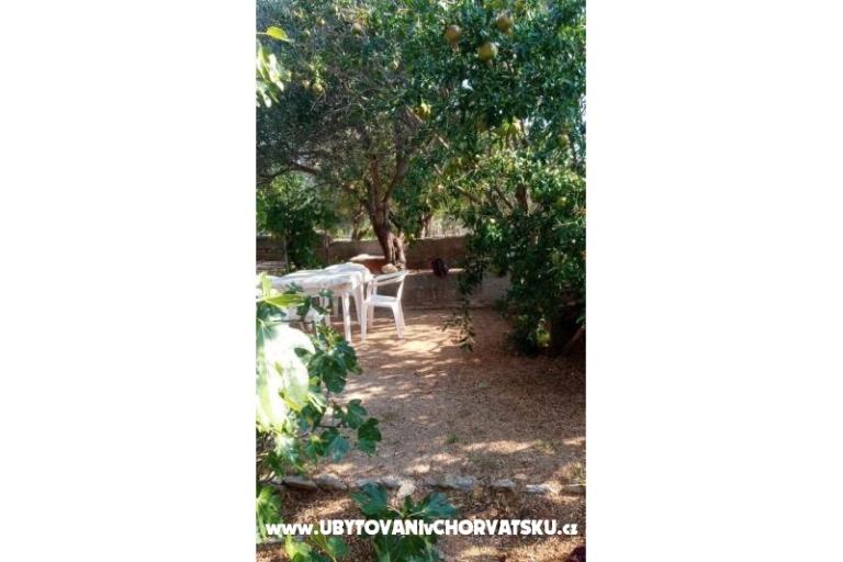 Studio Appartamenti Vidas – foto 13
