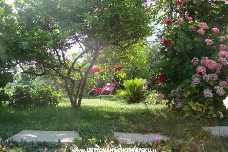Villa Lolo – foto 2