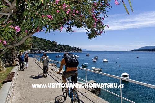 Appartamento CAMI – foto 17
