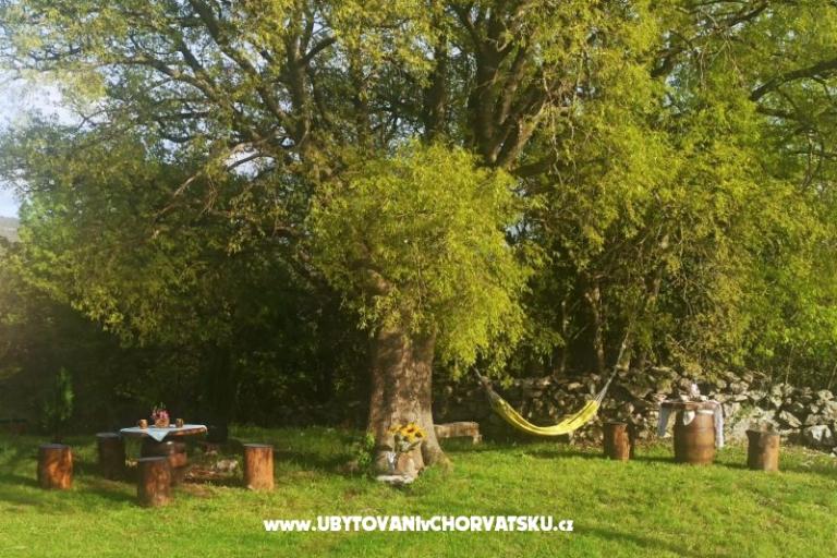 Traditional Istrian Casa ENI – foto 11
