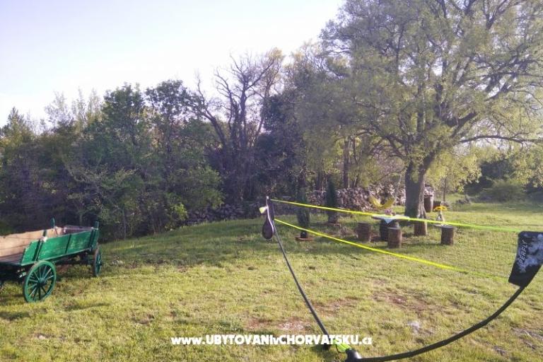 Traditional Istrian Casa ENI – foto 14