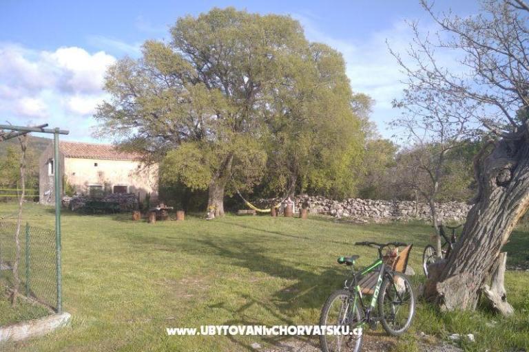 Traditional Istrian Casa ENI – foto 4