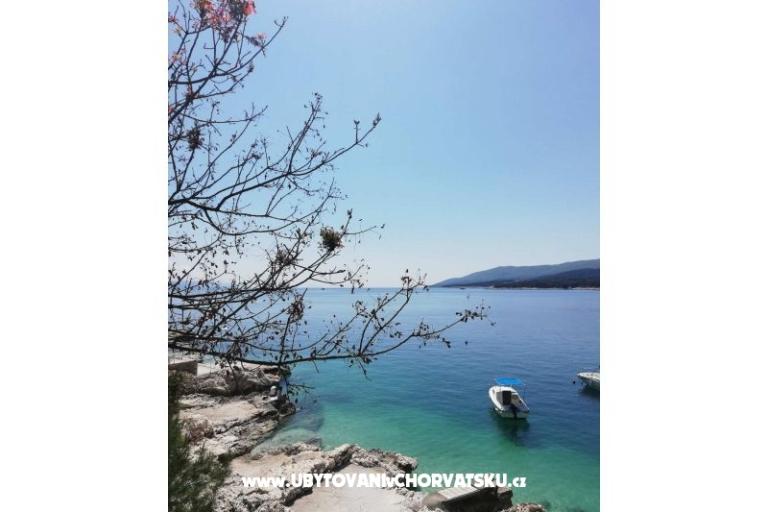 Traditional Istrian Casa ENI – foto 7