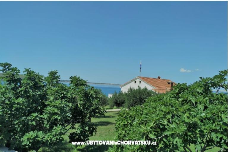 Appartamento Miočić - Adam – foto 13