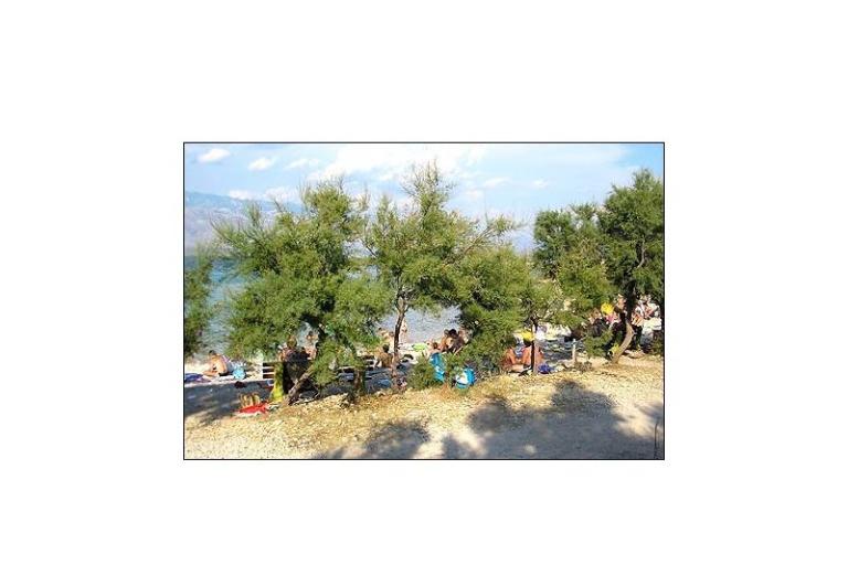 Appartamento Nirvana – foto 18