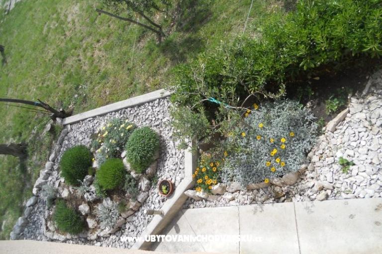 Appartamenti JIDRA – foto 12