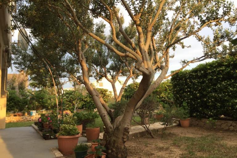 Appartamenti Biba i Luce – foto 2