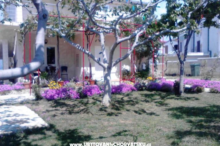 Appartamenti Vera – foto 9