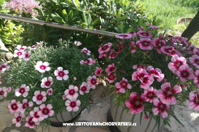 Appartamenti Eugen – foto 15