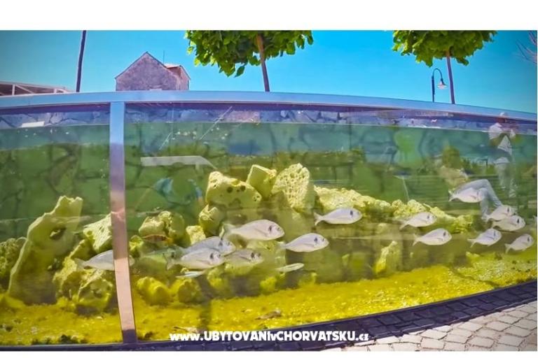 Appartamento Amfora – foto 16