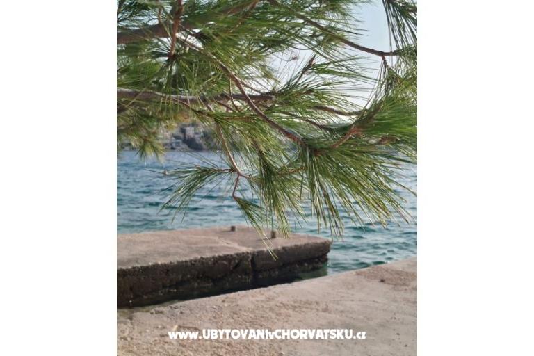 Appartamento Mišić - OAZA MIRA – foto 19