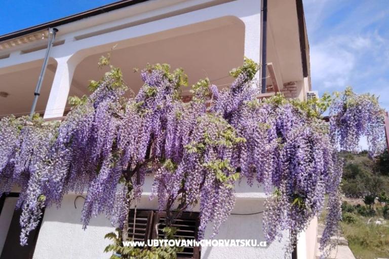 Appartamento Mišić - OAZA MIRA – foto 21