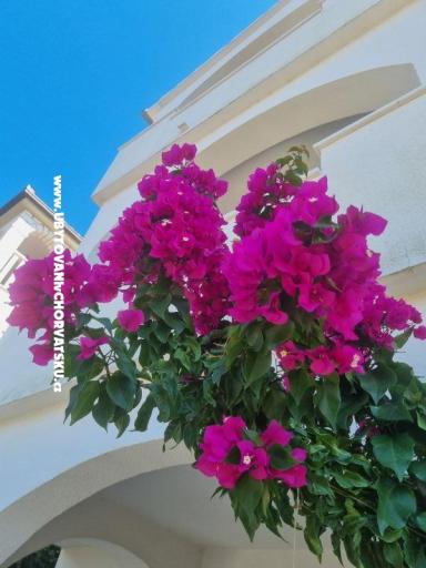 Appartamenti Ana – foto 9