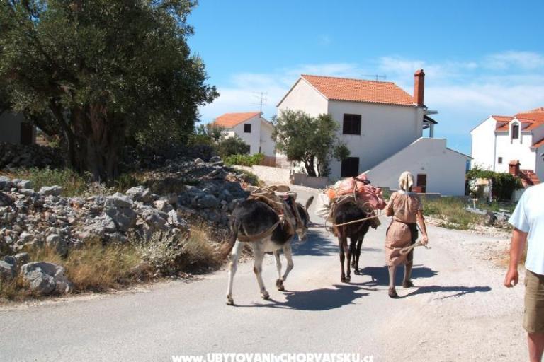 Appartamenti Bačić – foto 17
