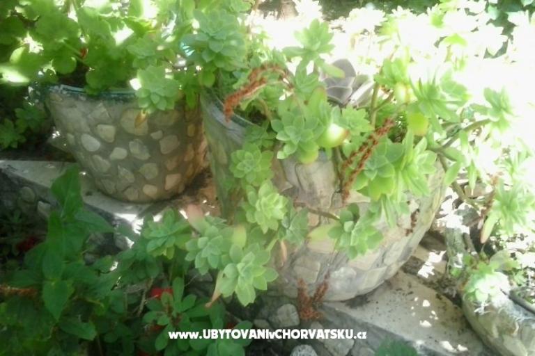 Appartamenti Baković – foto 6