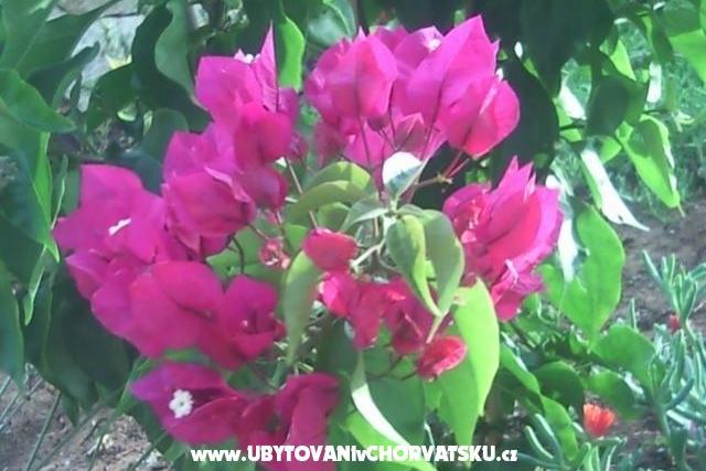Appartamenti Nika – foto 10