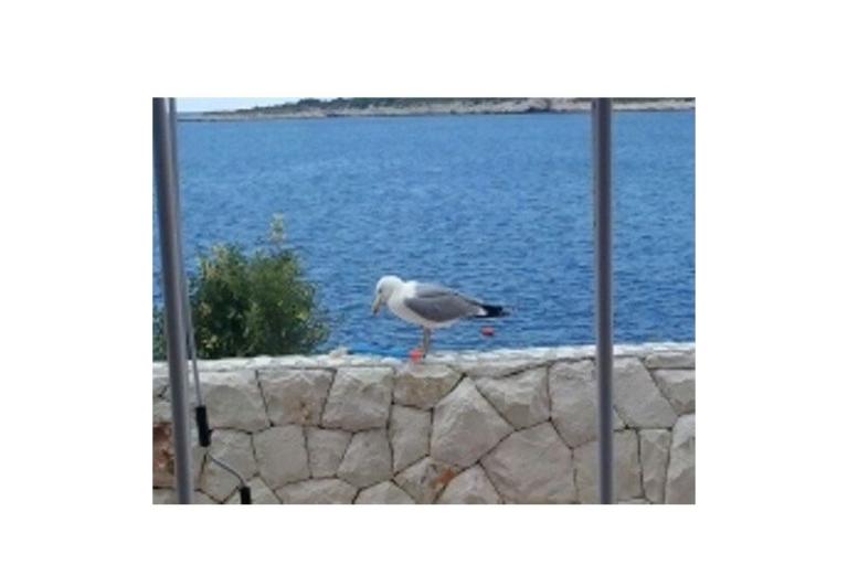 Appartamenti Nika – foto 18