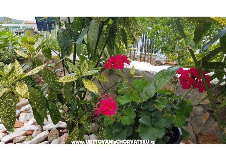 Appartamenti Mijo – foto 12