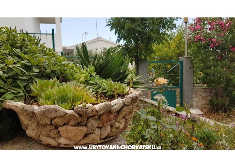 Appartamenti Mijo – foto 13