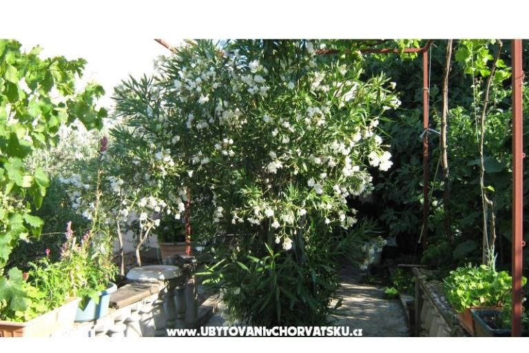Appartamenti Miki – foto 8