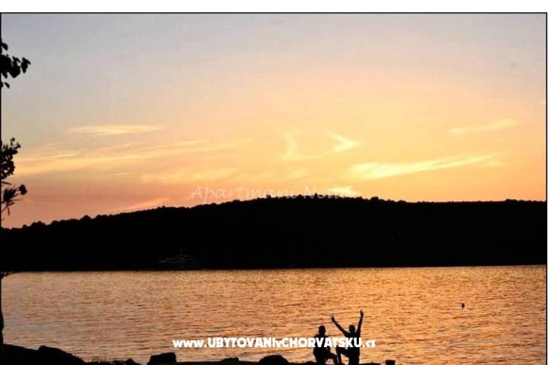 Appartamenti Neda,Kanica – foto 10
