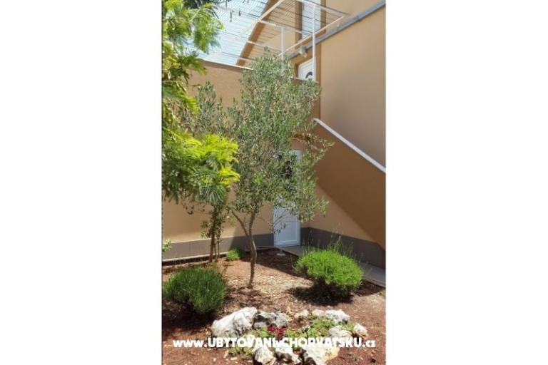 Appartamenti Pejo – foto 4