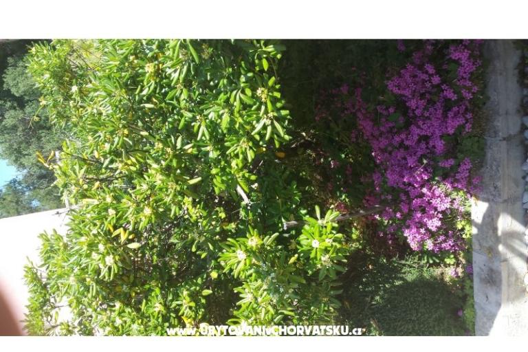 Appartamenti Perak – foto 10