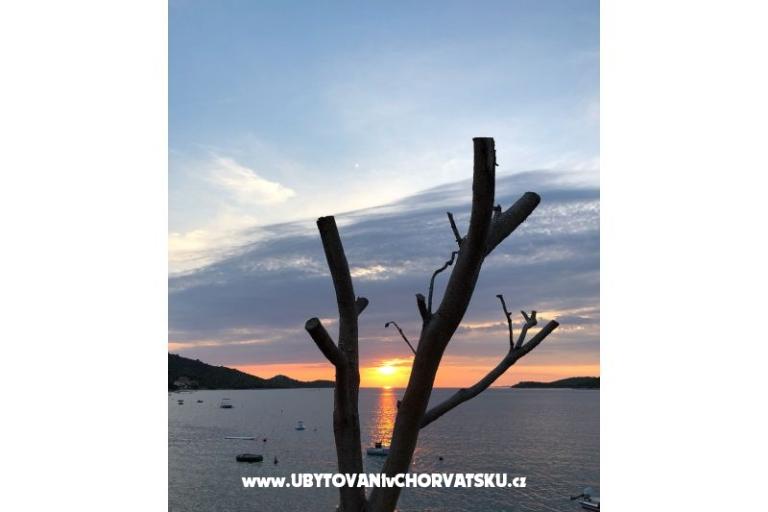 Appartamenti Ruža – foto 20