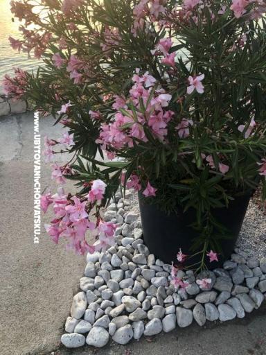 Appartamenti Ruža – foto 28