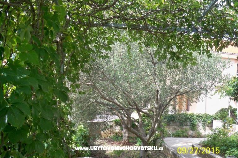 Appartamento VITO Stara Draga – foto 16