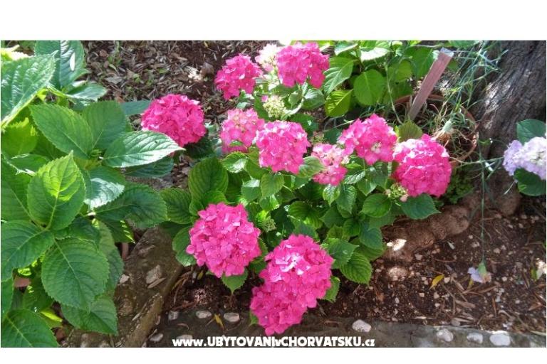 Appartamenti Lana – foto 16