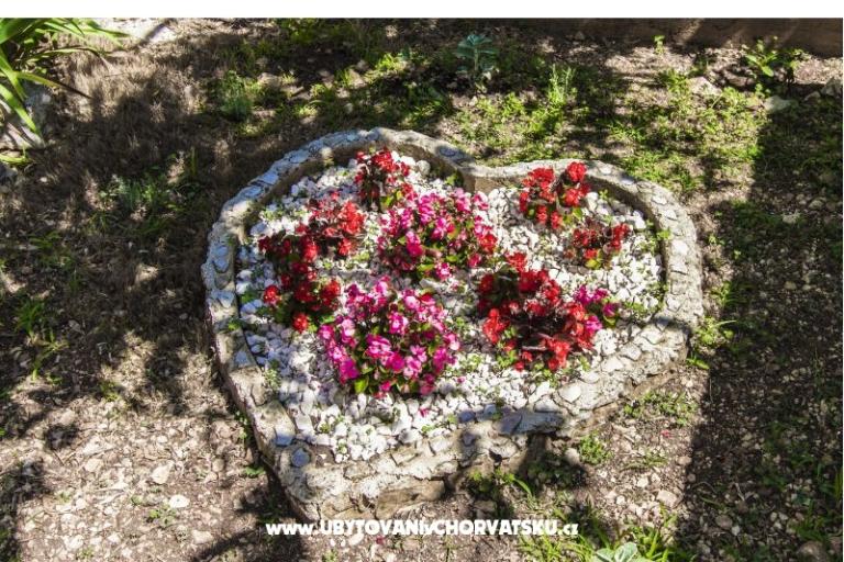 Appartamenti Venci – foto 19