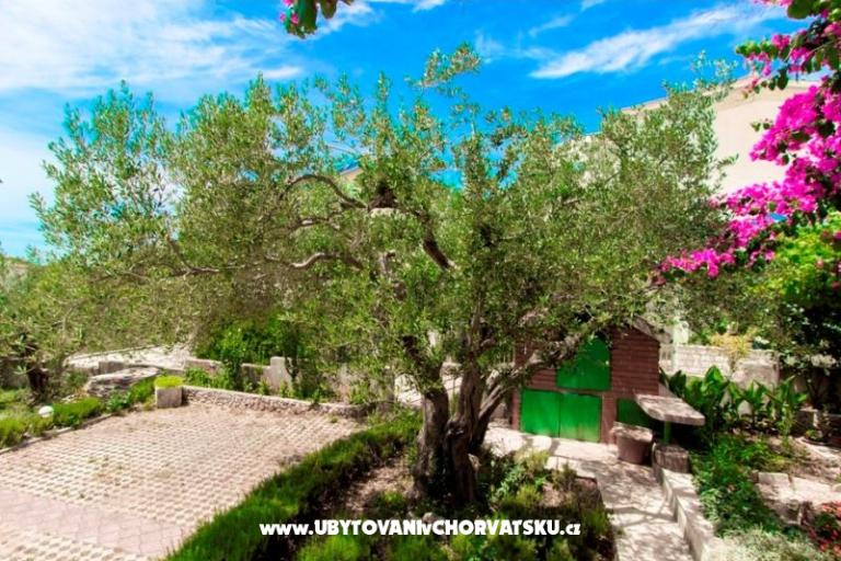 Appartamenti Venci – foto 5