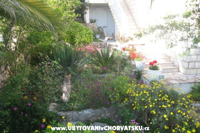 Villa Jozo Appartamenti – foto 5